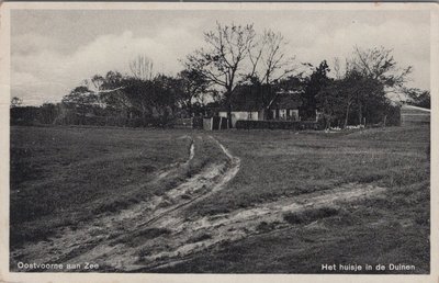 OOSTVOORNE AAN ZEE - Het huisje in de Duinen