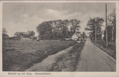 NIEUWENHOORN - Gezicht op het Dorp