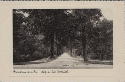 OOSTVOORNE AAN ZEE - Weg in het Overbosch