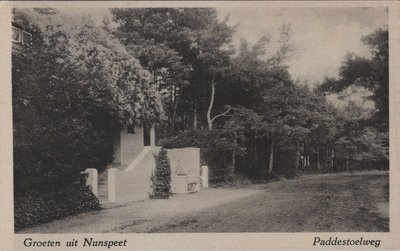 NUNSPEET - Paddestoelweg