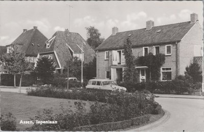 ASSEN - Iepenlaan