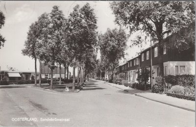 OOSTERLAND - Sandsbrömstraat