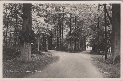 DOORN - Schoonoordselaan