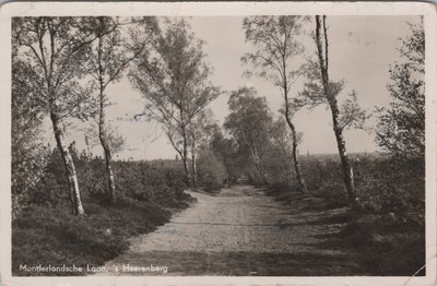 S HEERENBERG - Montferlandsche Laan