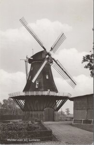 LUNTEREN - Walderveen bij Lunteren