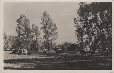 VARSSEVELD - Landschap