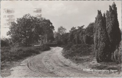 OTTERLO - Jeneverbessen Bossen