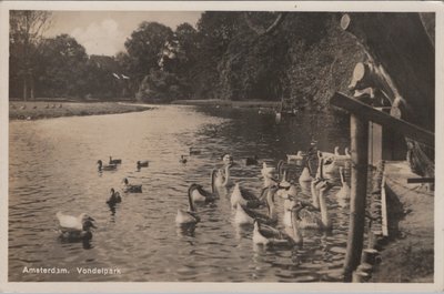 AMSTERDAM - Vondelpark