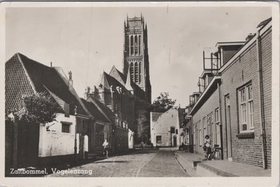 ZALTBOMMEL - Vogelenzang