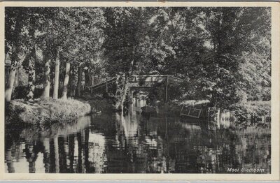 GIETHOORN - Mooi Giethoorn