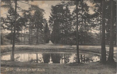 ZEIST - De kom in het bosch