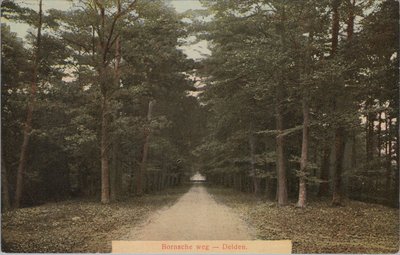 DELDEN - Bornsche weg