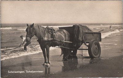 SCHEVENINGEN - Schelpenvisser