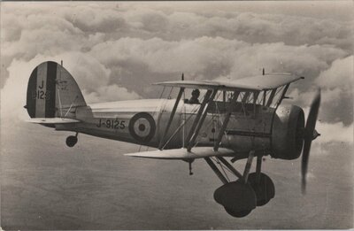 GLOSTER Gauntlet