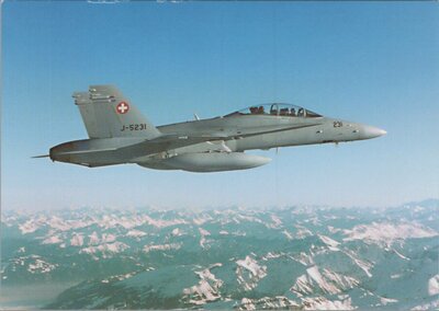 F/A-18 D Hornet