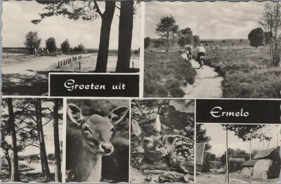 ERMELO - Meerluik Groeten uit Ermelo