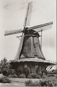 DALFSEN - Molen