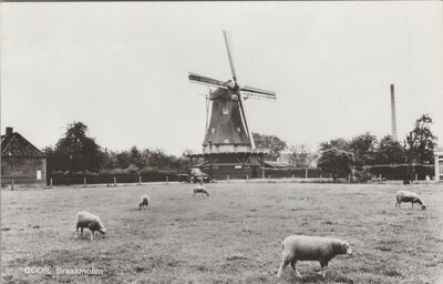 GOOR - Braakmolen