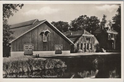 DEDEMSVAART - Koninkl. Kweekerij Moerheim