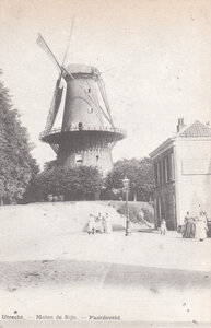 UTRECHT - Molen de Rijn. - Paardeveld