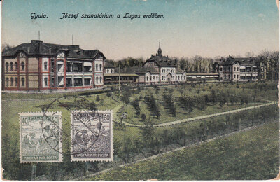 HUNGARY Gyula - Joszef szanatorium a Lugos erdoben, mailed 1928 Vintage Postcard