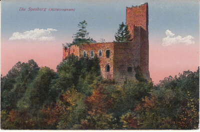 FRANCE - Die Spesburg (Mittelvogesen), unmailed Vintage Postcard