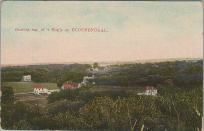 BLOEMENDAAL - Gezicht van af 't Kopje op Bloemendaal