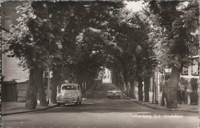 VALKENBURG (L.) - Lindelaan