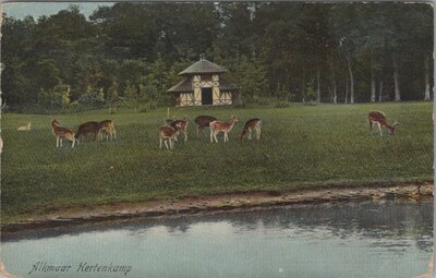 ALKMAAR - Hertenkamp