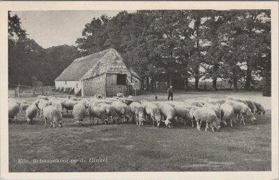 EDE - Schaapskooi op de Ginkel