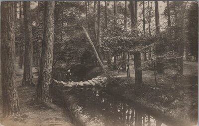 ZEIST - Keienbrug in het Zeister Bosch