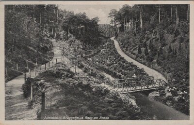 APELDOORN - Bruggetje in Berg en Bos