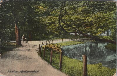 HAARLEM - Haarlemmerhout