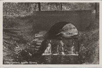 LOENEN (Vel.) - Schapenwasch aan de Spreng