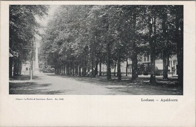 APELDOORN - Loolaan