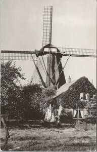 EDE - Molen