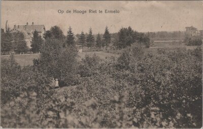 ERMELO - Op de Hooge Riet te Ermelo