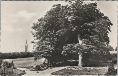 RHENEN - Gezicht op de Koerheuvel