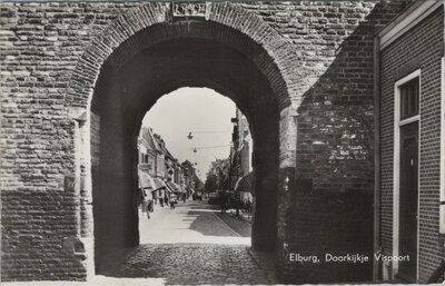 ELBURG - Doorkijkje Vispoort