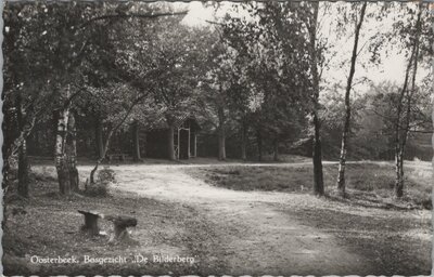 OOSTERBEEK - Bosgezicht De Bilderberg