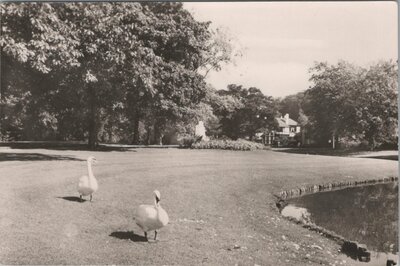 APELDOORN - Wilhelminapark