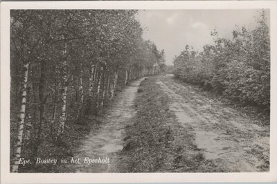 EPE - Bosweg in het Eperholt