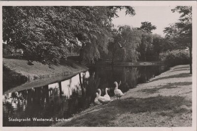 LOCHEM - Stadsgracht Westerwal