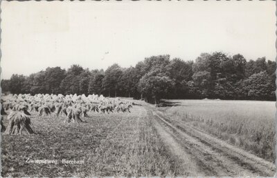 BARCHEM - Zwiepseweg