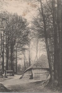 VELUWE - Aan den zoom van een Veluwsch bosch