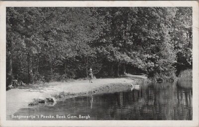 BEEK - Bergmeertje 't Peeske. Beek. Gem. Bergh