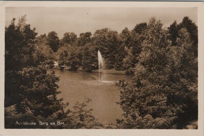 APELDOORN - Berg en Bos