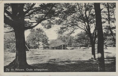 VELUWE - Op de Veluwe. Oude schaapskooi