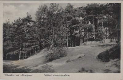 NUNSPEET - Groeten uit Nunspeet. Woest natuurschoon