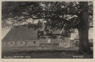 MEDDO - Boerderij Wesselink - Meddo Winterswijk